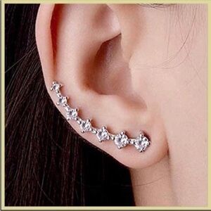 Ear crawlers earrings